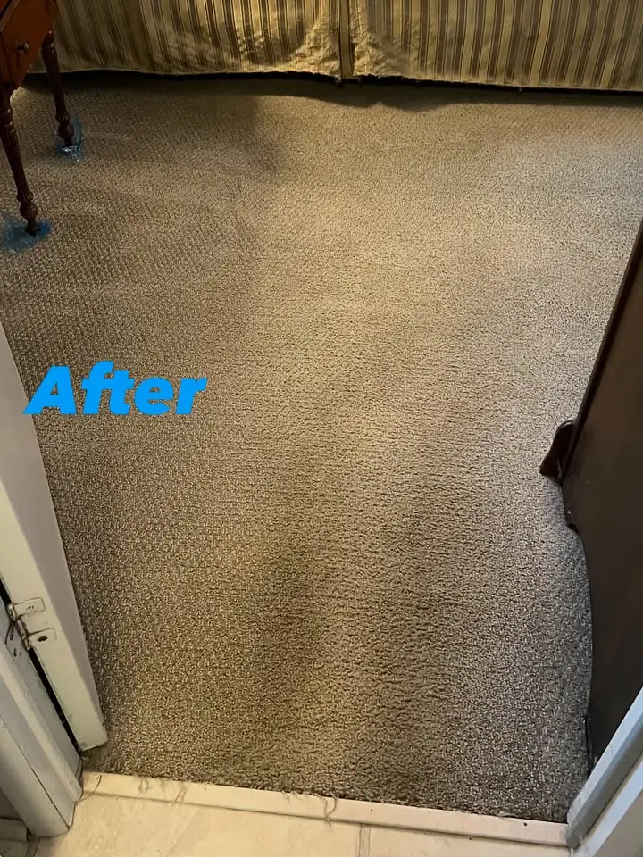 Carpet after professional cleaning